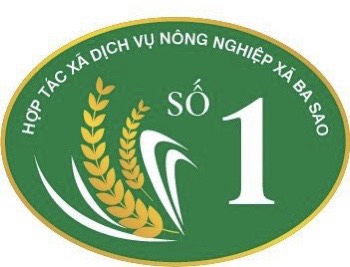 Qui trình sản xuất gạo an toàn - hữu cơ