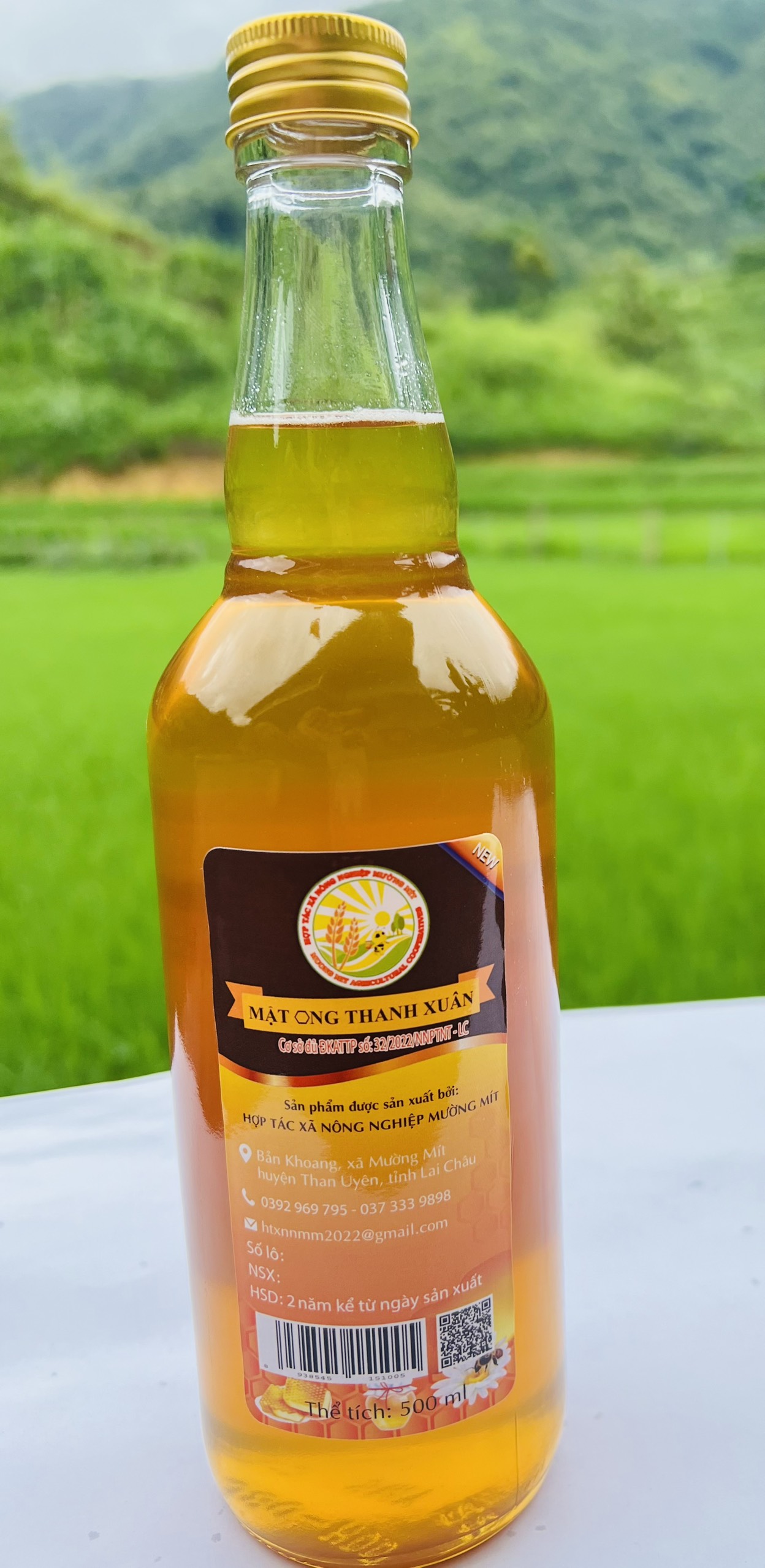 Mật ong Thanh Xuân - Chai 500 ml