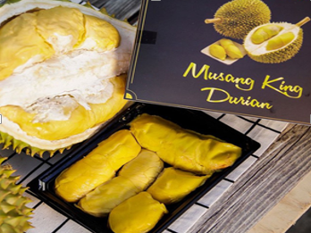 Sầu Riêng Musang King